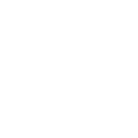 Historic Stock Lookup